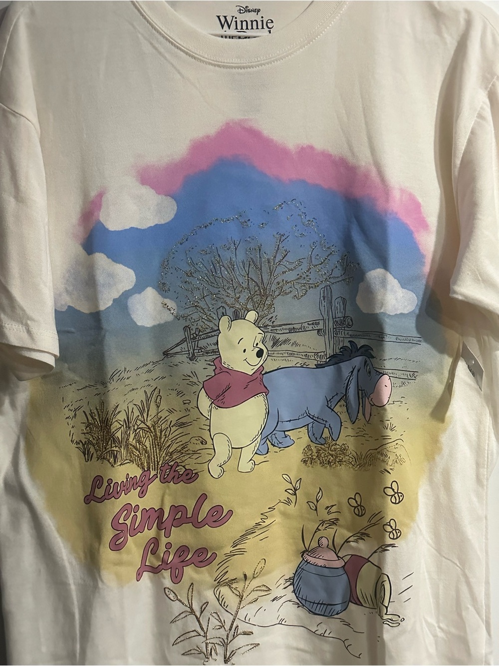 Disney Cream Tee with Pink & Blue Winnie the Pooh Graphic